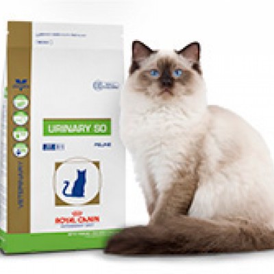 پت شاپ آنلاین پت استور در تهران