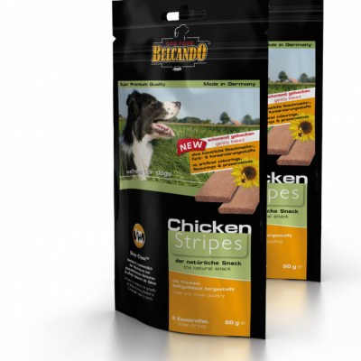 پت شاپ آنلاین پت استور در تهران