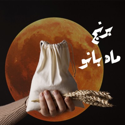 برنج ماه بانو در بابلسر