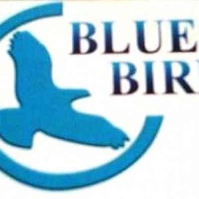 فست فود پرنده آبی در تهران