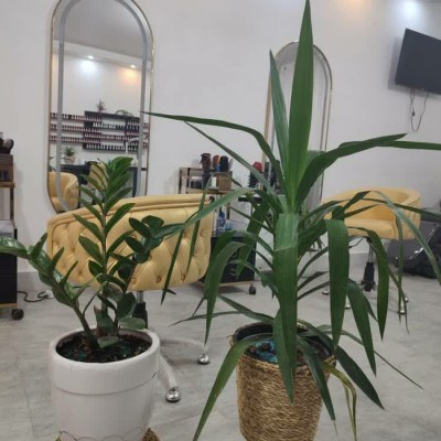 خدمات زیبایی آنا در بندر گناوه