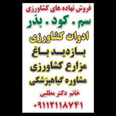 داروخانه گیاه پزشکی دکتر افرا مطلبی در بابلسر