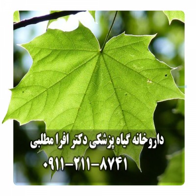 داروخانه گیاه پزشکی دکتر افرا مطلبی در بابلسر