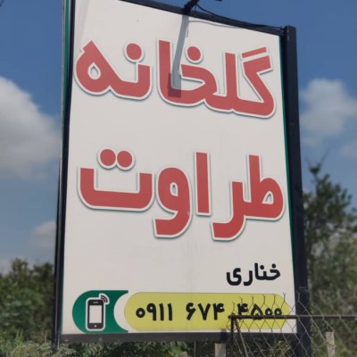 گلخانه طراوت در قائمشهر