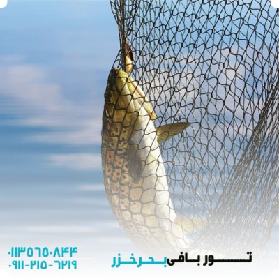 تولید کننده تور ماهیگیری در ایران - تور بافی بحرخزر