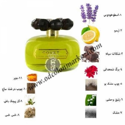 گالری ادکلن مرکزی در شیراز