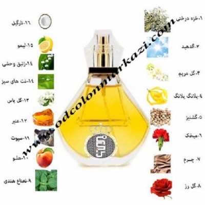 گالری ادکلن مرکزی در شیراز