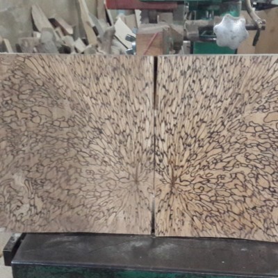 منبت کاری باقری در تهران