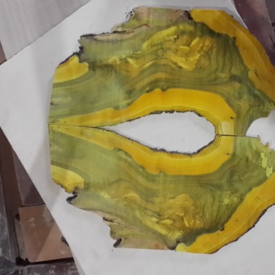 منبت کاری باقری در تهران