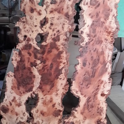 منبت کاری باقری در تهران