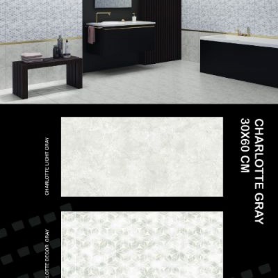 فروشگاه پخش نمین سرامیک در تهران