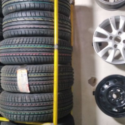 لاستیک قائم در مشهد